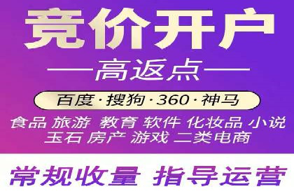 百度推广实战：案例分享与数据解读